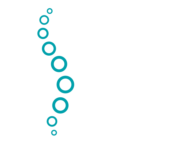 Cape Chiropractic logo.